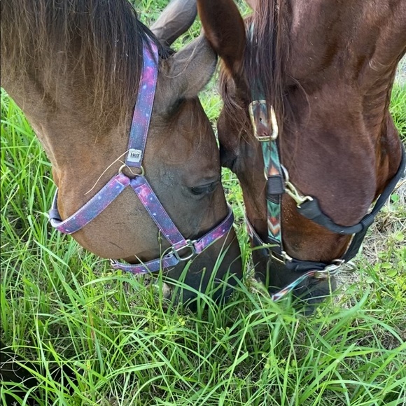 Meet your Posher, Linda - Picture 6 of 16